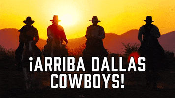 Dallas Cowboys Sport GIF by Sealed With A GIF