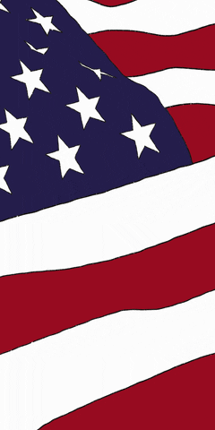 American Flag Stars GIF by macniten