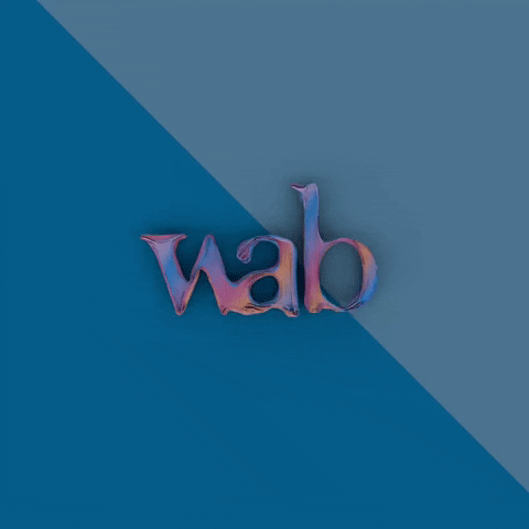 wabdigital digital agency calabria wab GIF