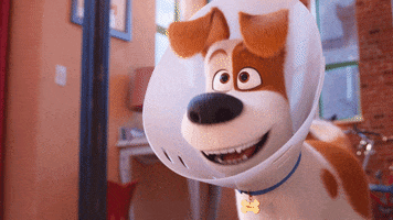 Excited Fun GIF by The Secret Life Of Pets