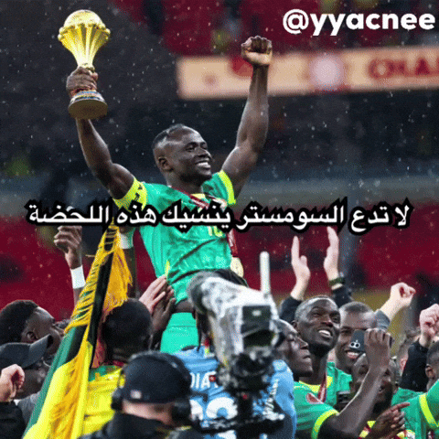 Bouyi GIF