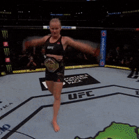 ufc-shevchenko-TKM2MWzcsflRJrlGox