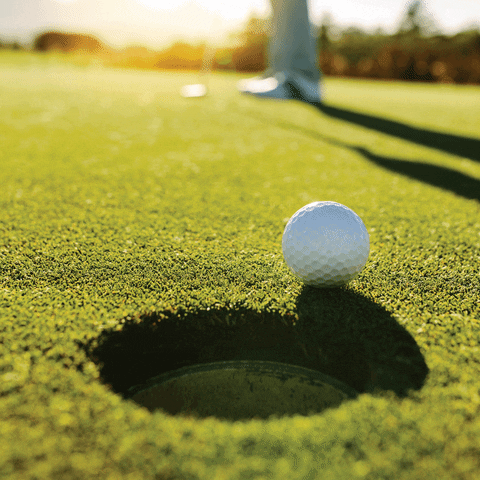 Aloe Up Sun & Skin Care GIF