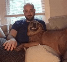 Dog Smile GIF by I Love That For You