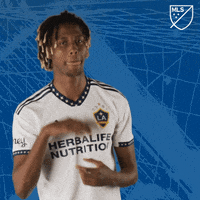 Stop It No More GIF by Major League Soccer