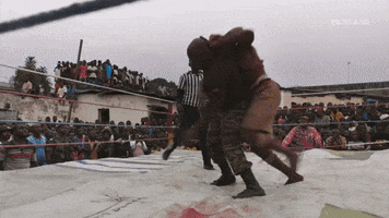 victory win GIF by THE WRESTLERS