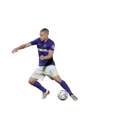 Sticker by Avante Sports