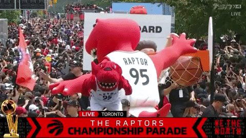 Toronto Raptors GIFs