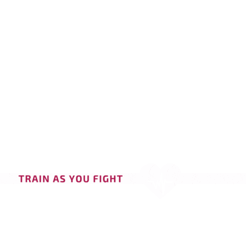 CorPatch Middle East Sticker