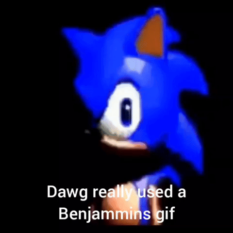 Dawg Sonic Angry GIF