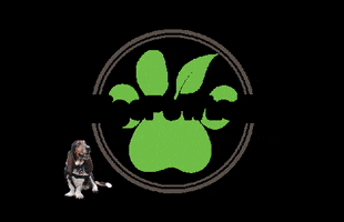 VigoPawtner GIF