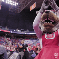 Wolfpack GIF by NC State Athletics