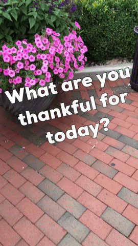 Happy Give Thanks GIF by Tracy Shroyer, PhD