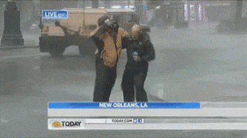 Weather Report Reporter GIF