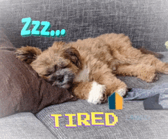 Tired Bürohund GIF by LAWIO
