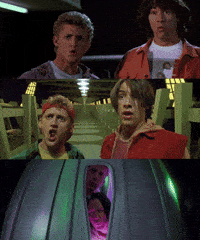 excellent bill and ted meme