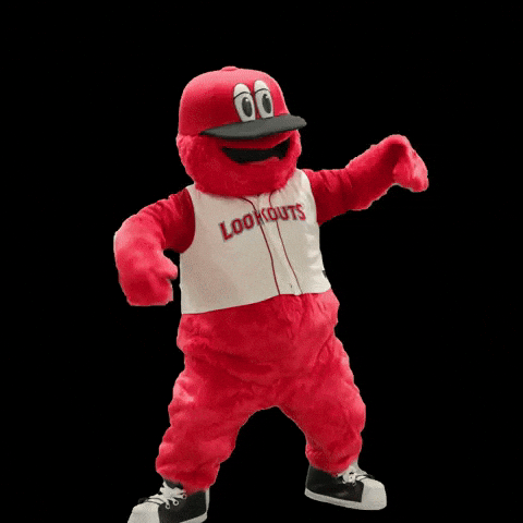 GIF by Chattanooga Lookouts