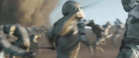 giphy.gif