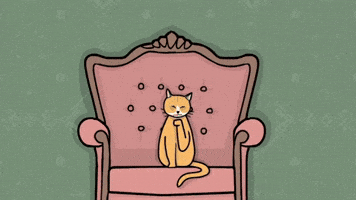 Cat Jump GIF