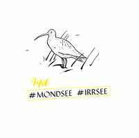 Tourismusverband MondSeeLand, Mondsee-Irrsee GIF