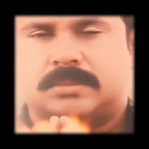 Mollywood GIF