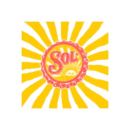Sol Salud Sticker by cervezasolchile