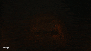 The Trench Shark GIF by Warner Bros. Pictures