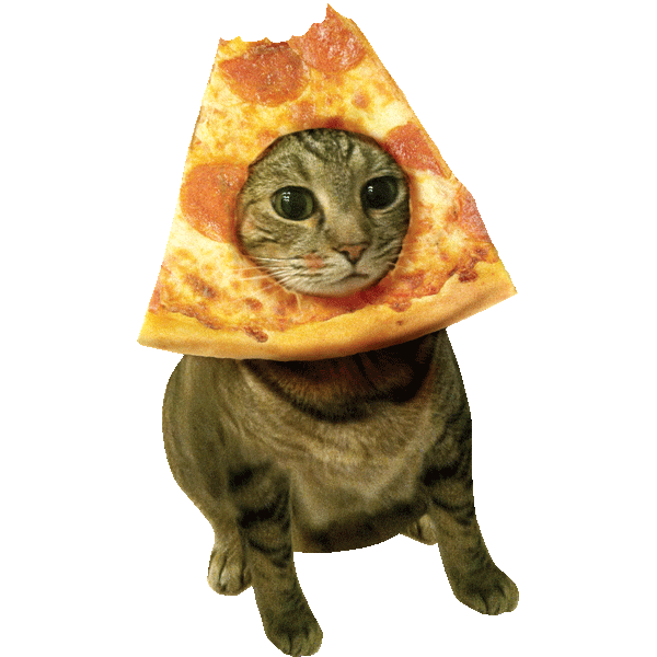 Pizza Cats Sticker by the pizzacat