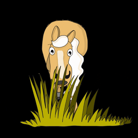 Kessi GIF
