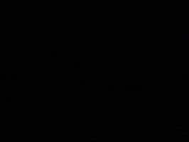 Invincible GIF