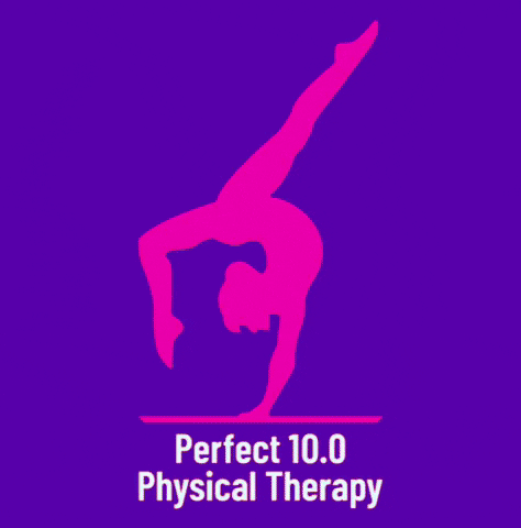 Perfect 10.0 Physical Therapy GIF