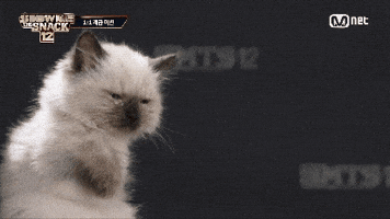 Show Me The Snack GIF