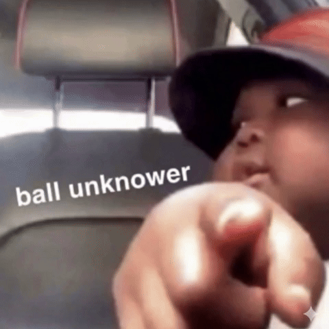 You Dont Know Ball GIF