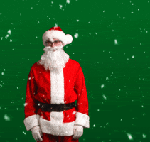 Merry Christmas Sport GIF by Jake Martella