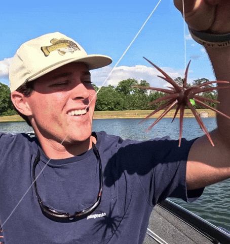 Bass Fishing Urchin GIF
