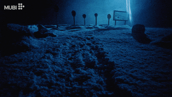 Gillian Anderson Horror GIF by MUBI