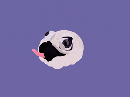 Dog Explode GIF by Kate Hummer