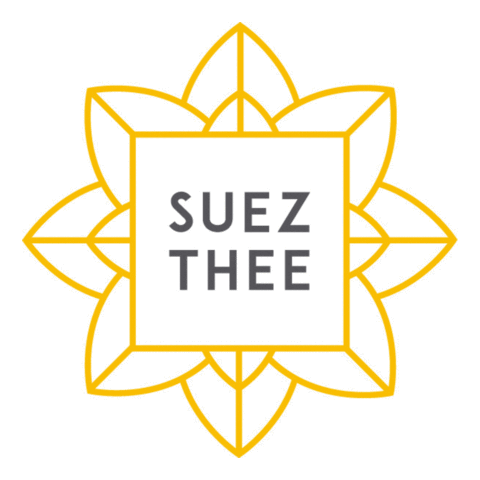 Suez Thee GIF
