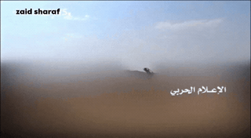 Yemen Zaid GIF