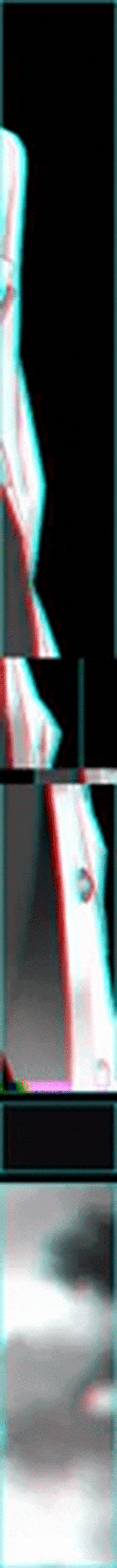 Xes GIF