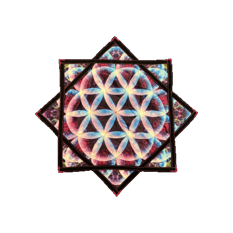 spinflowstar Sticker