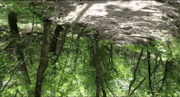 Alice In Wonderland Punk GIF by Marquis of Vaudeville