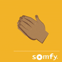 Happy Hand GIF by Somfy