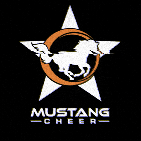 Mustang Houston GIF by Mustang Cheer