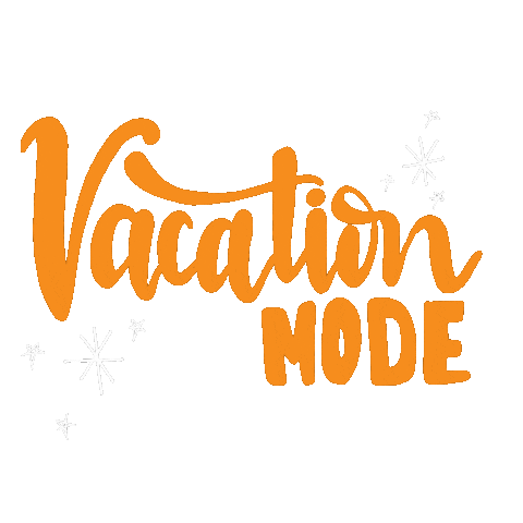 Puerto Rico Van Life Sticker by Vive La Van