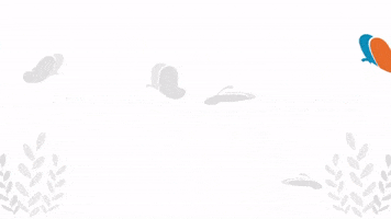Colégio Criando Asas GIF