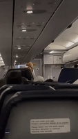 Flight Attendant Pranks Passengers With Fake Marriage Proposal