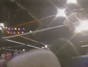 Bin GIF