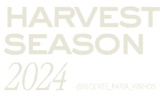 Wine Harvest Sticker by VicenteFariaVinhos
