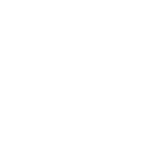 SPINS Sticker